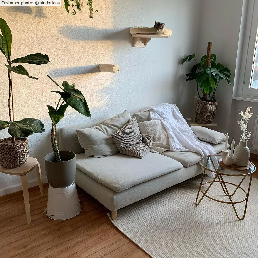 Gyapjúszőnyeg - Coastal (fehér)