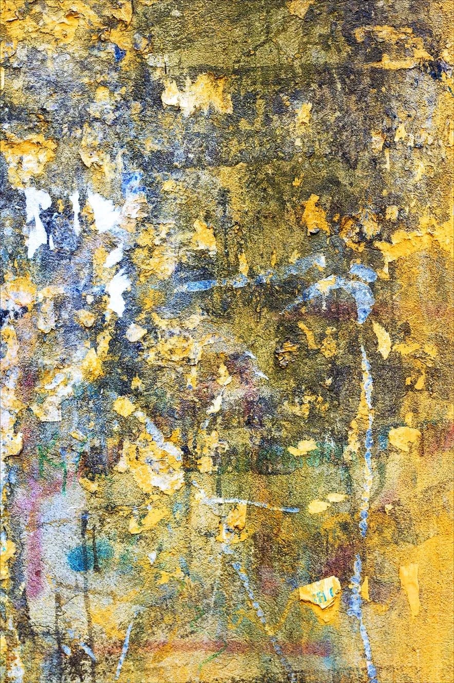 Wilton szőnyeg - Catania (többszínű)