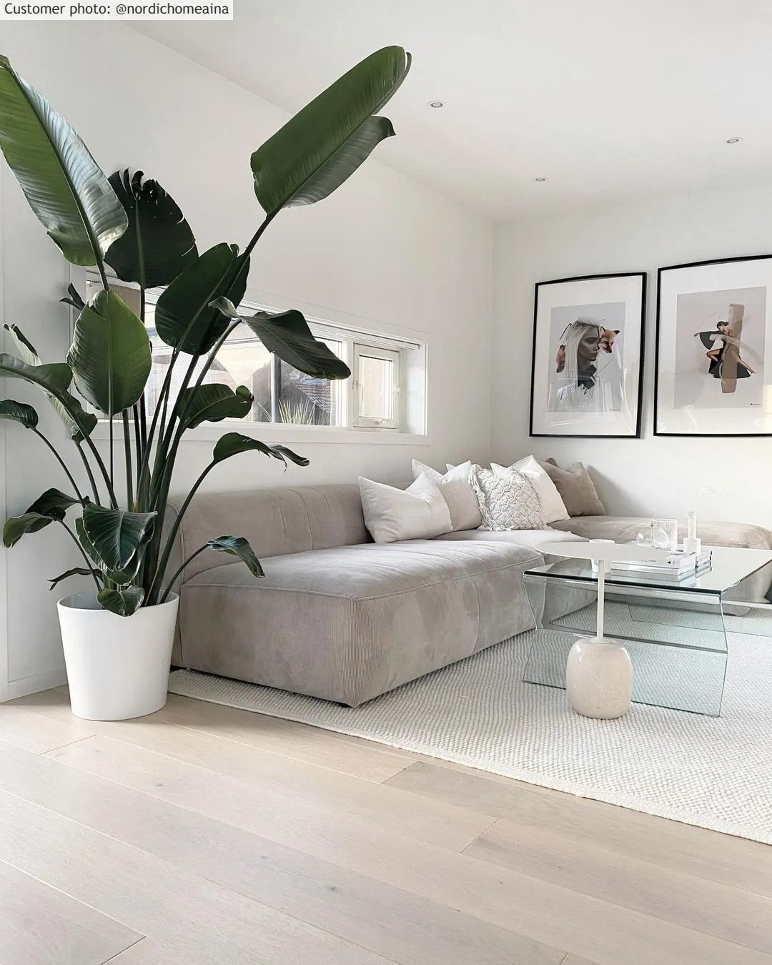 Gyapjúszőnyeg - Coastal (fehér)