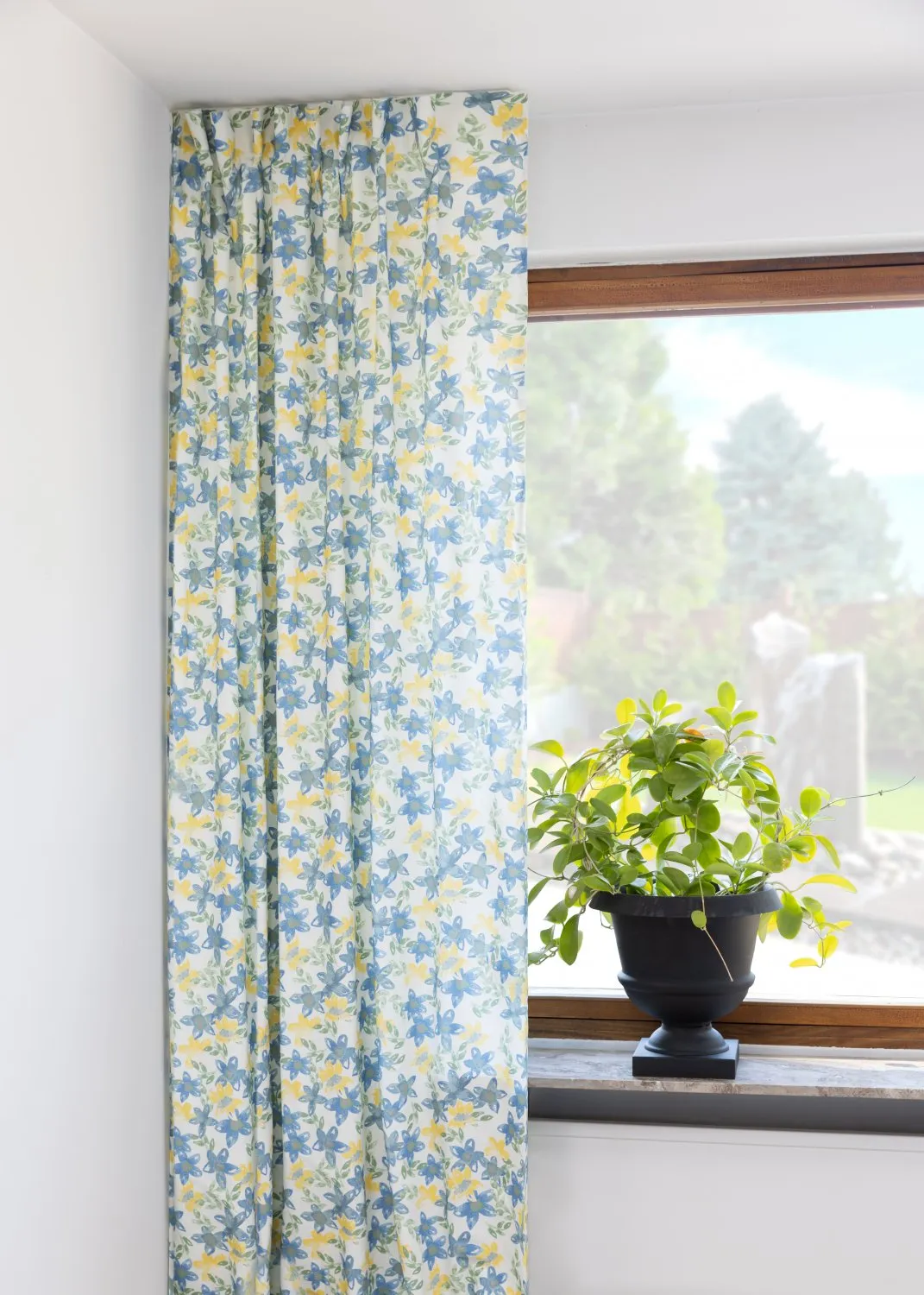 Függönyök - Pamutfüggöny Petite (kék)