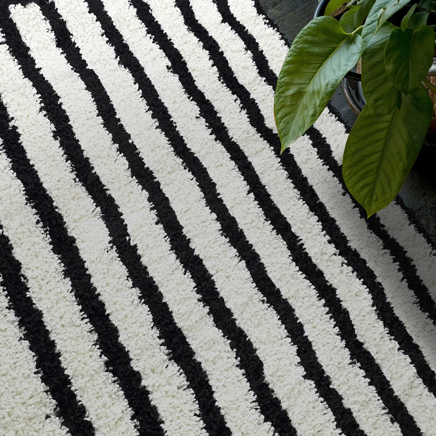 Shaggy szőnyeg - Cluny (fehér/fekete)