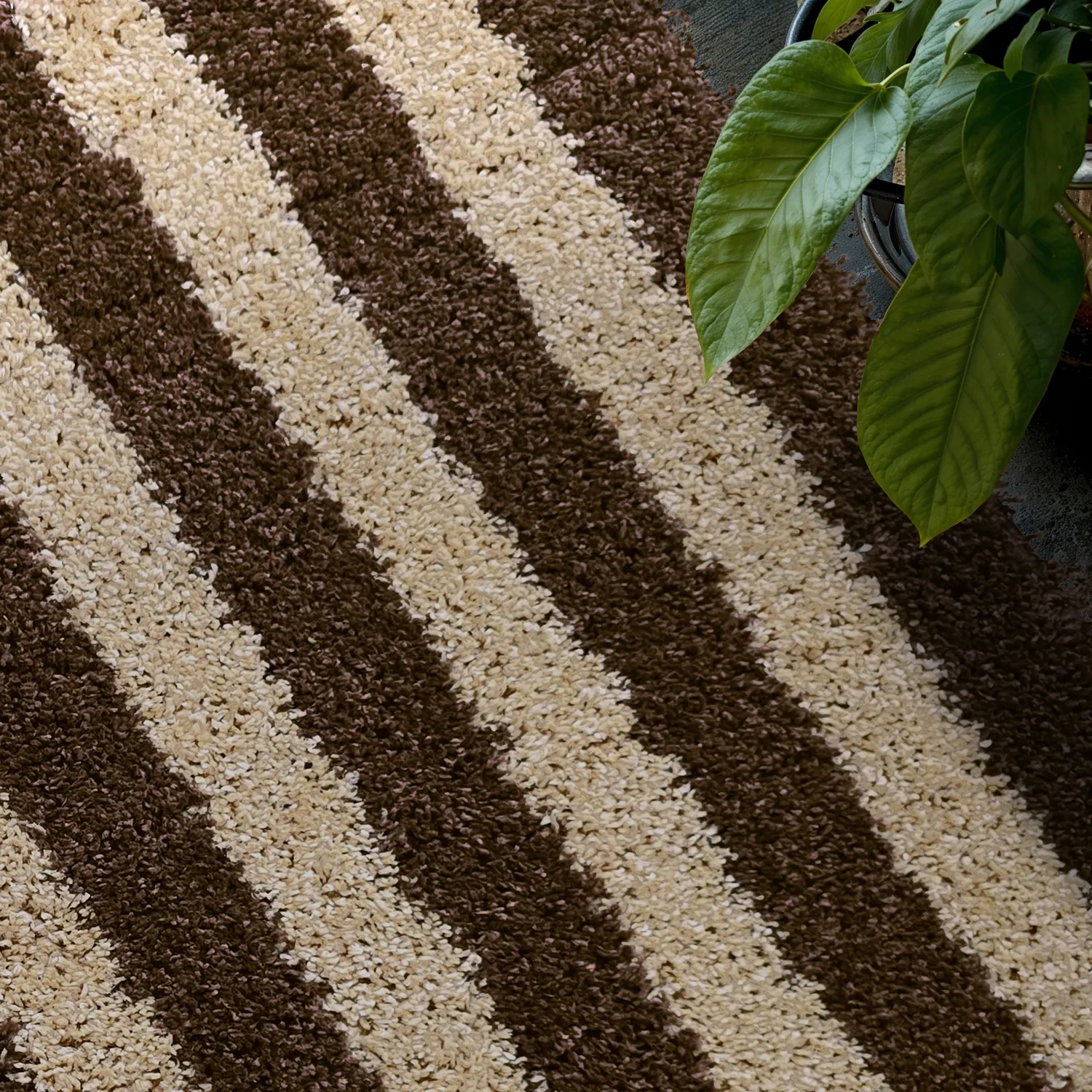 Shaggy szőnyeg - Imilchil (bézs/barna)