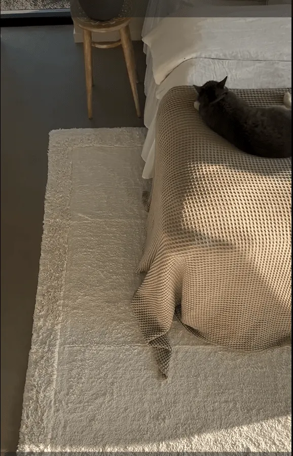 Shaggy szőnyeg - Ebba Natural Cotton Shaggy (offwhite)