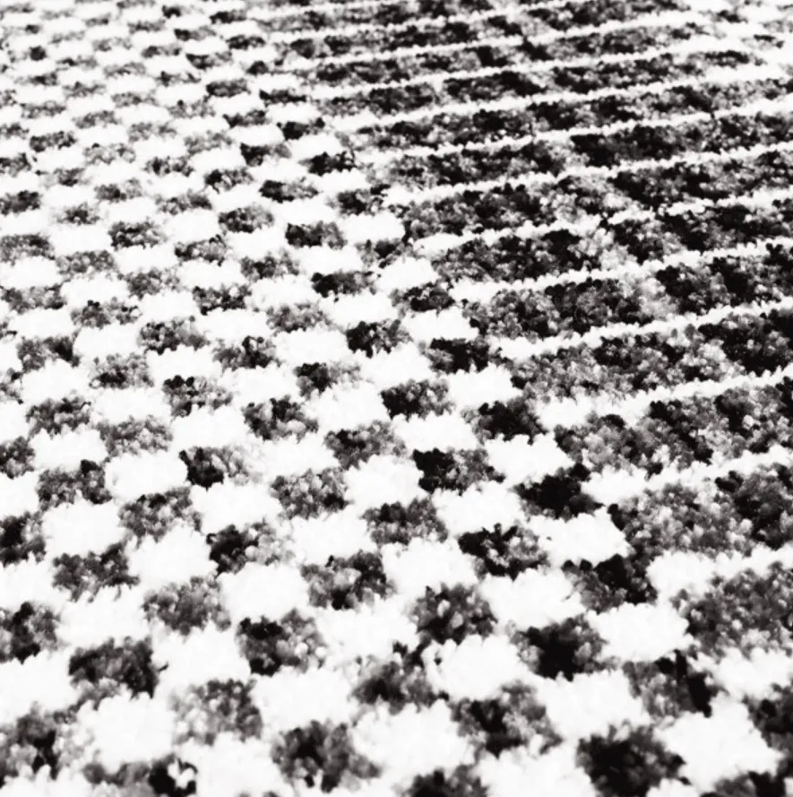 Wilton szőnyeg - Renous (szürke)