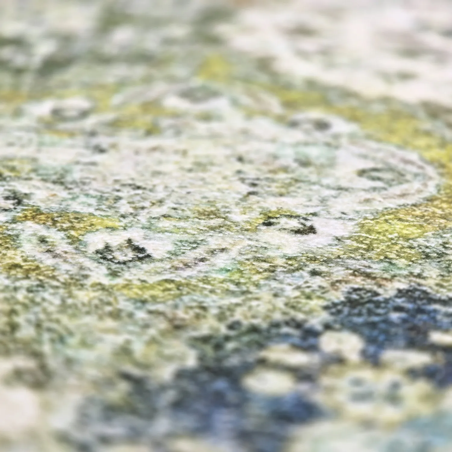 Wilton szőnyeg - Bohemia (zöld/multi)