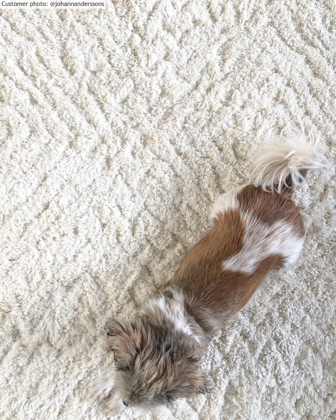 Shaggy szőnyeg - Stettin (offwhite)